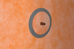 Schluter Systems Kerdi 3 4 Inch Pipe Collar Seal